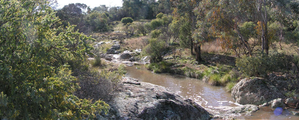 Creek near Koorawatha