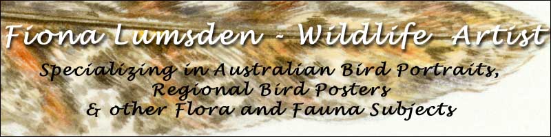 fiona lumsden wildlife artist